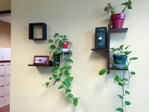Decorating work by Fresh Look Interiors DCS &mdash; photograph 5 of 34
