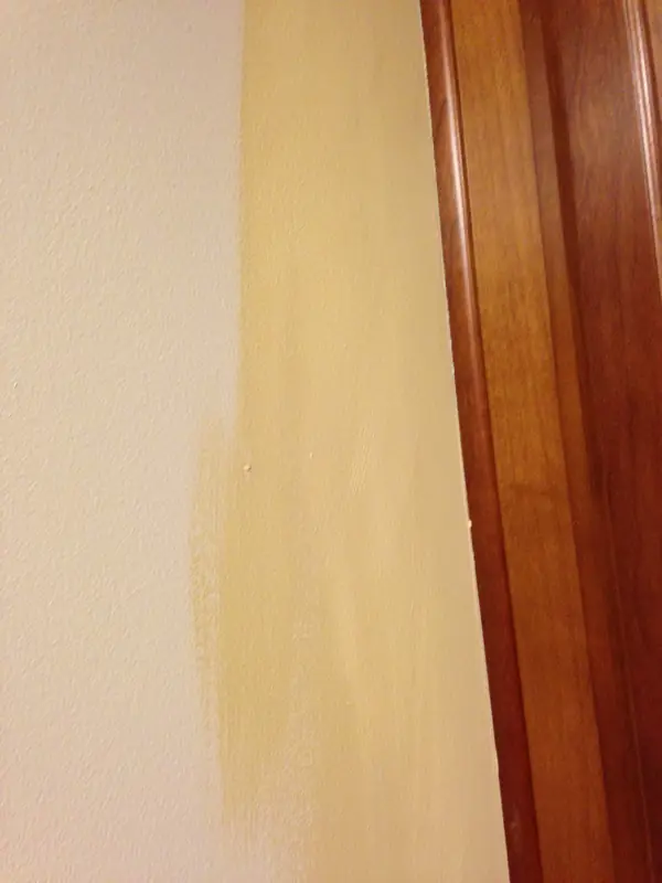 Painting work by Fresh Look Interiors DCS